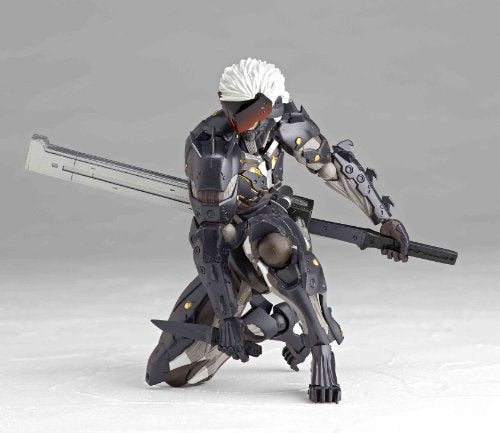 Raiden - Metal Gear Rising: Revengeance