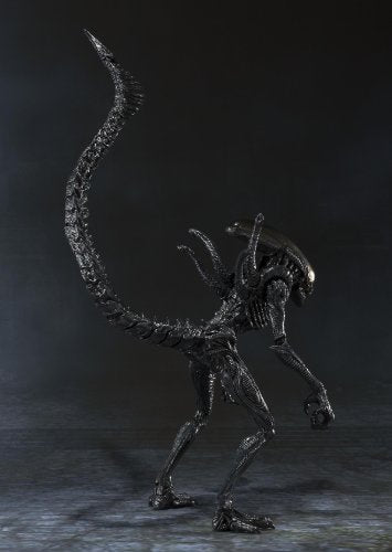 Alien Warrior - Alien Vs Predator