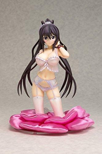 Shinonono Houki - IS: Infinite Stratos 2