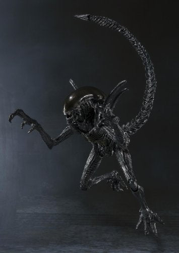 Alien Warrior - Alien Vs Predator
