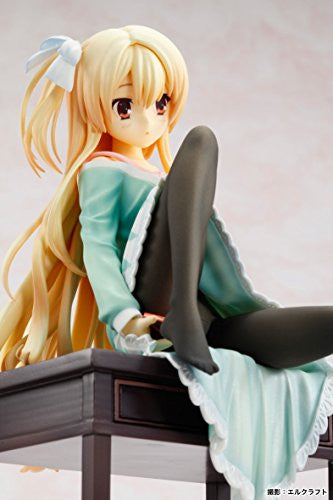 Amairo Islenauts - Shirley Warwick - 1/8 (Broccoli)