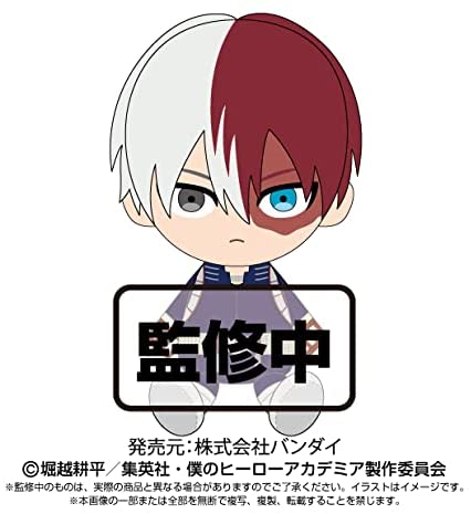 Todoroki Shouto - Boku no Hero Academia