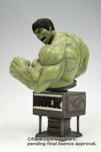 Hulk - The Incredible Hulk Movie