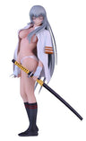 Ikki Tousen Great Guardians - Chouun Shiryuu - Skytube - 1/8 - Perfect body ver. (Alphamax)