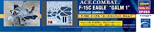 Ace Combat Zero: The Belkan War - Eggplane Series - F-15C Eagle - Galm 1 (Hasegawa)