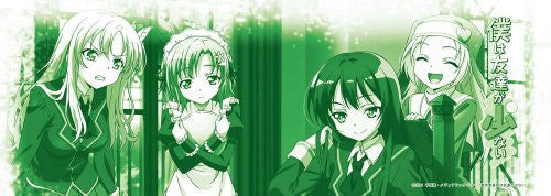 Boku wa Tomodachi ga Sukunai - Takayama Maria - Kusunoki Yukimura - Kashiwazaki Sena - Mikazuki Yozora - Mug (Chara-Ani)