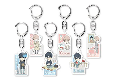 Ten Count Acryl Keyholder Collection Box (6 Pieces)