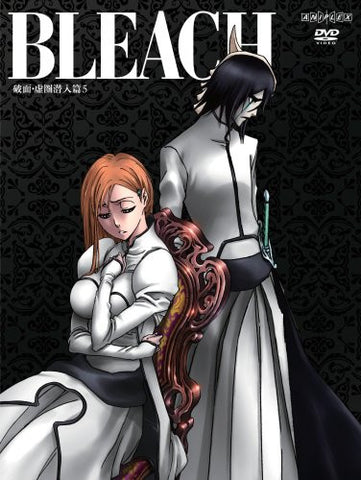 Bleach Arrancar Hueco Mundo Sennyu Hen 5