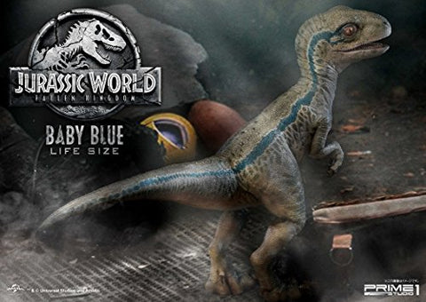 Jurassic World: Fallen Kingdom - Blue - Legacy Museum Collection LMCJW2-02 - 1/1 - Baby (Prime 1 Studio)