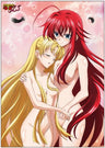 High School DxD NEW - Rias Gremory - Ashia Argento - Clear Poster (Penguin Parade)