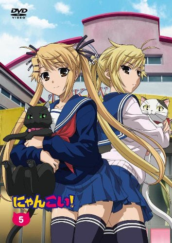 Nyankoi 5 [DVD+CD Limited Edition]