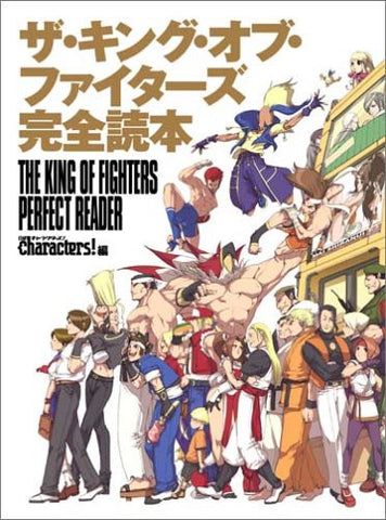 The King Of Fighters Perfect Reader Fan Art Book W/Cd