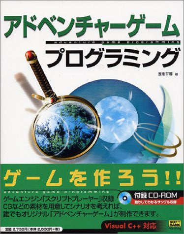 How To Create Videogame Book / Adventure Game Programming - Solaris Japan