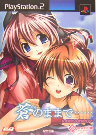 Ao No Mama De Official Strategy Guide Book / Ps2