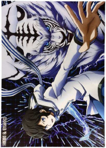 Devil Survivor 2 the Animation - Kuze Hibiki - Clear Poster - B