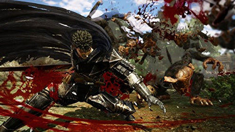 Berserk Musou - GAMECITY Version