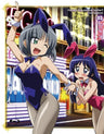 Hayate The Combat Butler / Hayate No Gotoku! 2nd Season 03 [Limited Edition]