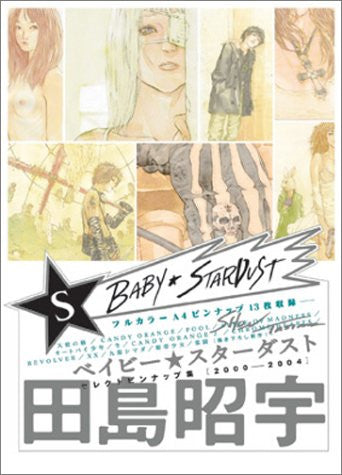 Baby Star Stardust Shou Tajima Collection Of Select Pinups 2000 2004 Illustration Art Book