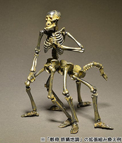 38-kT THE SKELETON ミヤビ スケルトン 新品未開封 ながのキャンパル ONLINE SHOP / 38灯 スケルトン 38-kT THE