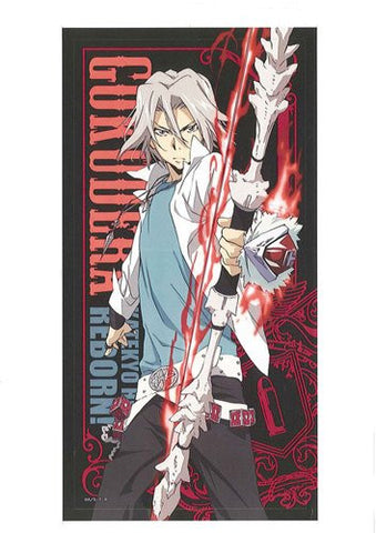 Katekyou Hitman REBORN! - Gokudera Hayato - Pile Bath Towel - Towel (USE)