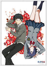 Tokyo Ghoul - Kaneki Ken - Kirishima Touka - Clear Poster C - Poster (Penguin Parade)