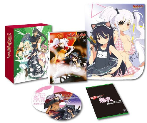 Senran Kagura Vol.4