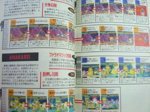 The Vampire Hunter Sega Saturn Manual Ver.2 Darkstalkers Extra Edition Fan Book / Ss