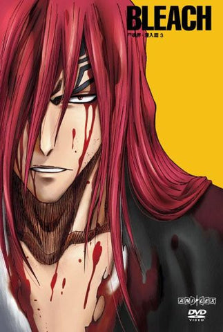 Bleach Soul Society Sennyu Hen 3