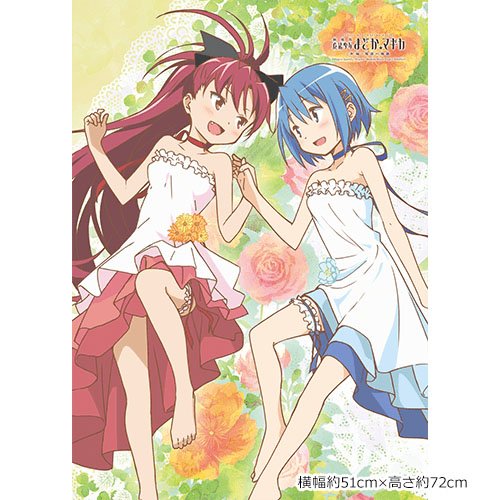 Puella Magi Madoka Magica the Movie New Feature: Rebellion - Original Illustration B2 Tapestry Sayaka & Kyoko / Blossom