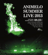 Animelo Summer Live 2013 Flag Nine 8.23
