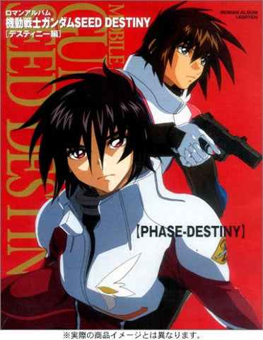 Gundam Seed Destiny Hen Roman Album Art Book