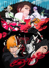 Bleach Fall Of The Arrancar Series 11