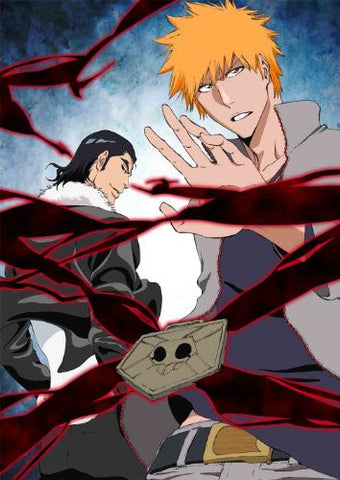 Bleach The Lost Substitute Shinigami Arc / Shinigami Daiko Shoshitsu Hen 5