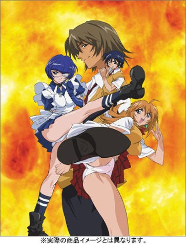 Ikki Tousen   Visual Book