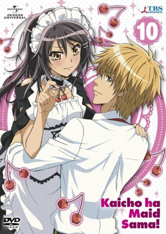 Maid Sama! 10