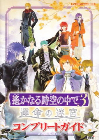 Harukanaru Toki No Naka De 3 Unmei No Meikyu Complete Guide Book / Ps2