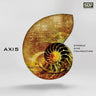 AXIS / STEREO DIVE FOUNDATION [Artist Edition]