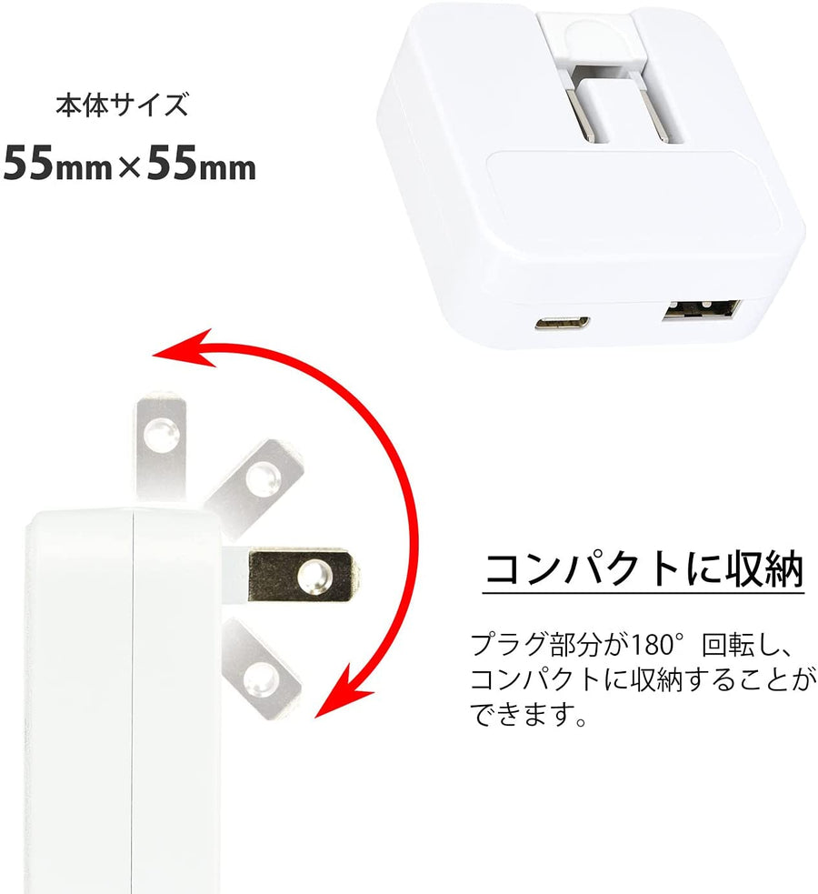 Pokémon - Wanpachi - USB/USB Type-C AC Adaptor (Pokémon Center)