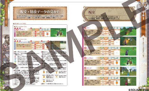 Dragon Quest X Mezameshi Itsutsu No Shuzoku Online Official Guide Book