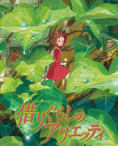 The Borrower Arrietty This Is Animation Illustration Art Book
