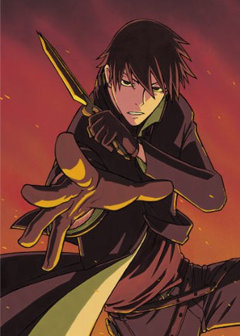 Darker Than Black - Ryusei No Gemini Vol.8 - Solaris Japan