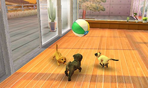 Nintendogs + Cats: Toy Poodle & New Friends (Happy Price Selection)