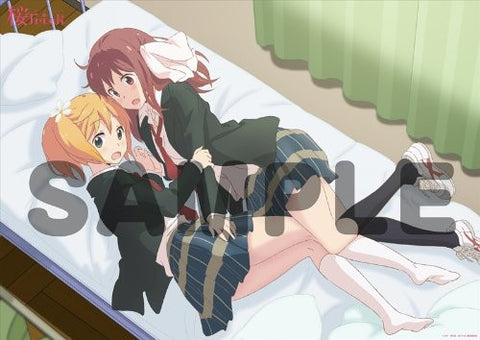 Sakura Trick - Sonoda Yuu - Takayama Haruka - Clear Poster (flagments)