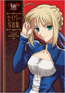 Fate/Stay Night Saber Portraits Illustration Art Book W/Extra