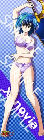 High School DxD NEW - Xenovia - Poster (flagments)