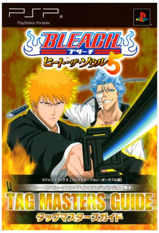 Bleach: Heat The Soul 5 Tag Masters Guide