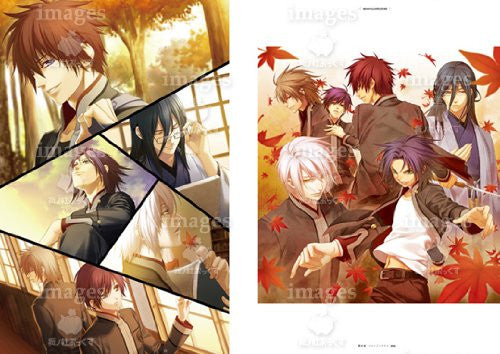 Hiiro No Kakera   Completely Preservation Usage Official Art Book