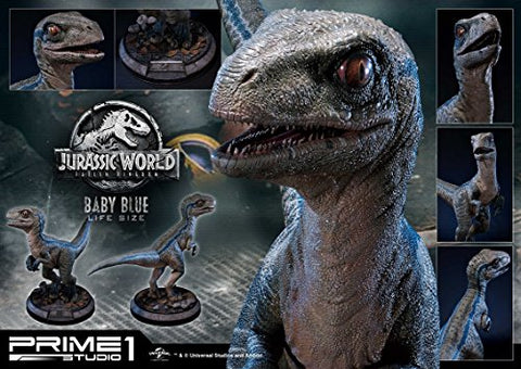 Jurassic World: Fallen Kingdom - Blue - Legacy Museum Collection LMCJW2-02 - 1/1 - Baby (Prime 1 Studio)