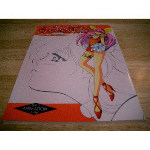 Wedding Peach Secret File Analytics Illustration Art Book