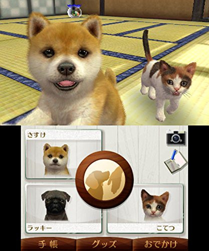 Nintendogs + Cats: Toy Poodle & New Friends (Happy Price Selection)